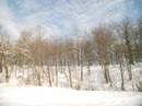 Теодор Дембіцький фотография #8 (источник - https://vk.com/id112972084)