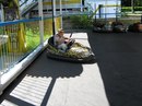 Богдан Олійник фотография #24 (источник - https://vk.com/id166374553)