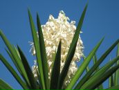 Фотография Рогозиной Ксении