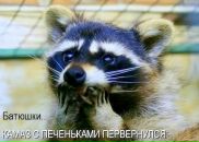 Фотография Петровского Андрея