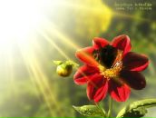 Фотография Эдуардовны Валентины