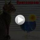 Іра Дяковська фотография #47 (источник - https://vk.com/id137411715)