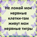 Игорь Иванов фотография #41 (источник - https://vk.com/id10904432)