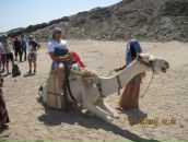 Фотография Зайцева Александра