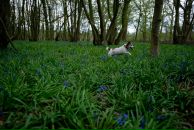 Галина Руденко фотография #7 (источник - https://vk.com/id66227)