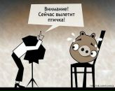 Фотография Ильясовой Ильмиры