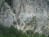 Віктор Почумбан фотография #22 (источник - https://vk.com/id21559724)