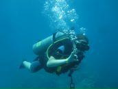 Фотография Ивановой Алены