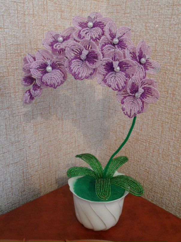 Рая Игнатенко фотография #9