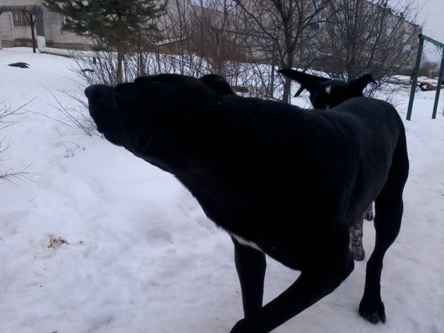 Rito Uki фотография #9