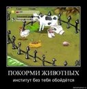Ліля Горобець фотография #30 (источник - https://vk.com/id151698165)