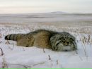 Фотография Нуриевой Лилии