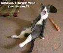Вадім Панасюк фотография #30 (источник - https://vk.com/id154799377)
