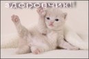 Вадім Шевкович фотография #6 (источник - https://vk.com/id165996492)