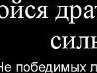 Сергій Соляр фотография #40 (источник - https://vk.com/id133310066)