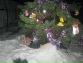 Фотография Коренкова Дмитрия