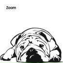 Фотография Кандаурова Владимира