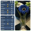 Evgeniya Loca фотография #31 (источник - https://vk.com/id59007)