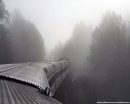 Ойра Ойра фотография #25 (источник - https://vk.com/id807590)