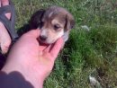 Роман Стефанків фотография #7 (источник - https://vk.com/id29176882)