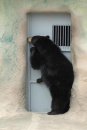 Іра Кондрат фотография #29 (источник - https://vk.com/id44818769)