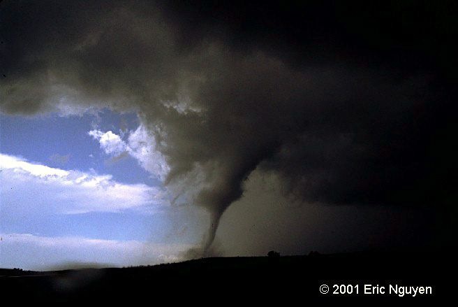 Роман Морозов фотография #36