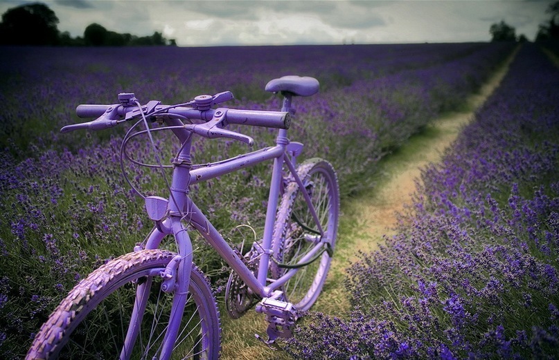 Ольга Петрова фотография #32