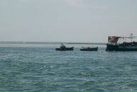 Дмитрий Ковалёв фотография #29 (источник - https://vk.com/id2980018)