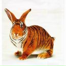 Фотография Учитель Англии Юрий Леонидович