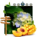 Фотография Новожениной Елены