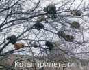 Nаталія Nаталія фотография #33 (источник - https://vk.com/id54485185)