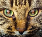 Фотография Ходыревой Надежды