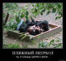 Антон Random фотография #22 (источник - https://vk.com/id3982068)