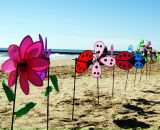 Фотография Лесковой Сандры