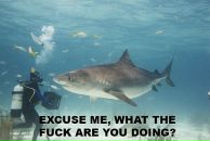 Аня Аверьянова фотография #12 (источник - https://vk.com/id597232)