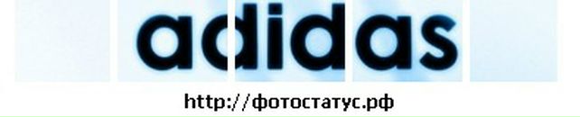 Іван Чигур фотография #4 (источник - https://vk.com/id77446814)