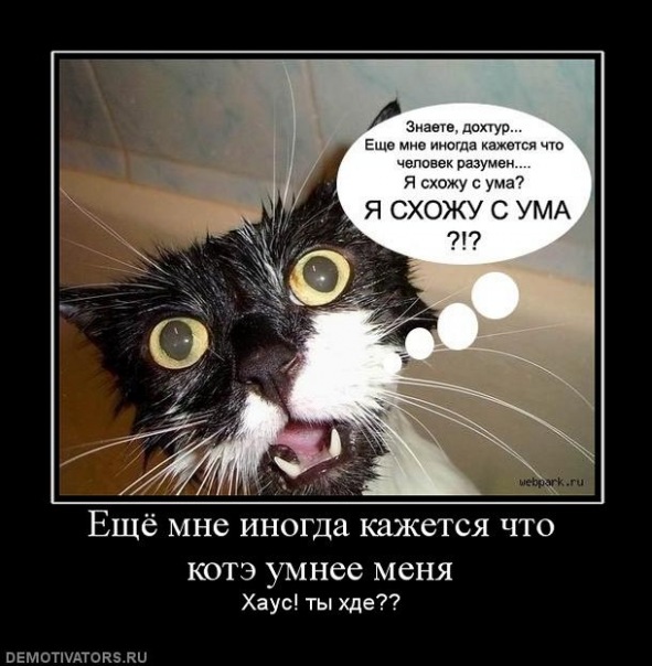 №9, Соня Руденко, 31 год, Красноярск №9, Соня Руденко, 31 год, Красноярск