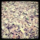 Виктор B фотография #28 (источник - https://vk.com/id1739100)