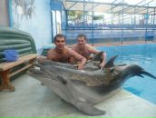 Фотография Калашникова Александра