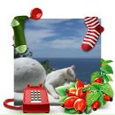 Фотография Леонтьевой Натальи