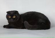 Фотография Михайловой Анны