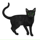 Фотография Зелянин Иван