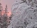 Альона Колядіна фотография #16 (источник - https://vk.com/id80316701)