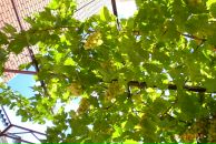 Разбитое Сердце фотография #19 (источник - https://vk.com/id611602)