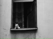 Фотография Хворовой Ирины