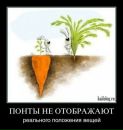Віталій Українець фотография #35 (источник - https://vk.com/id22547145)