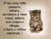 Фотография Иванова Алексея