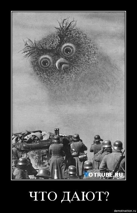 Дмитрий Говоров фотография #24