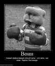 Андрій Копотюк фотография #30 (источник - https://vk.com/id88396855)