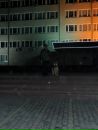 Віталік Шклярук фотография #31 (источник - https://vk.com/id120211487)